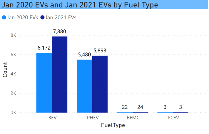 EV Growth by Fuel Type