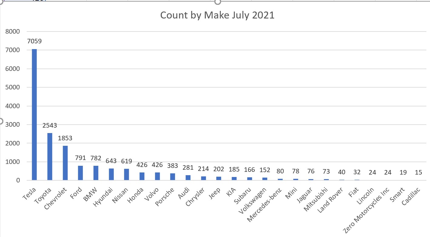 Count of EVs by Top Makes