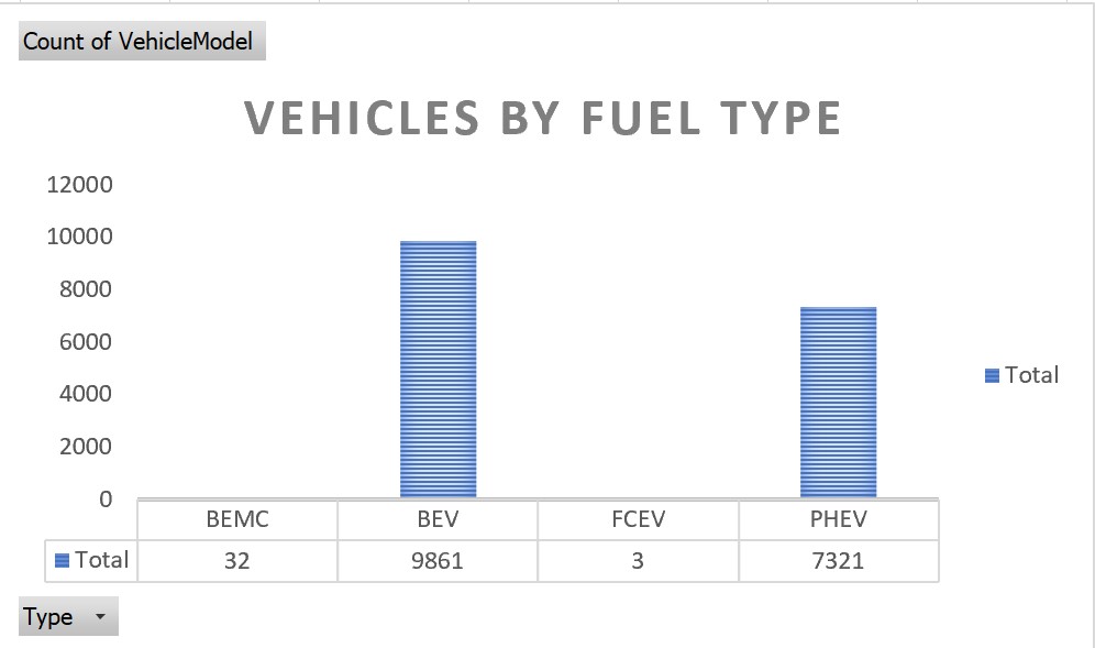 Electric Vehicles by Fuel Type