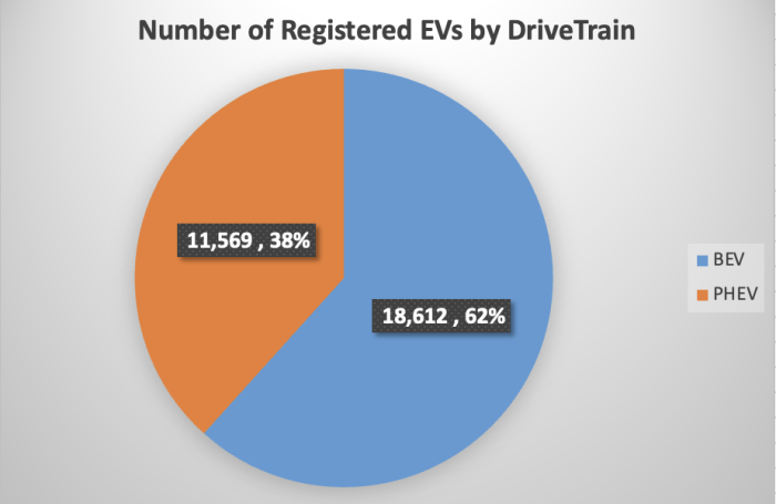 EVs by Fuel Type Jan 2022