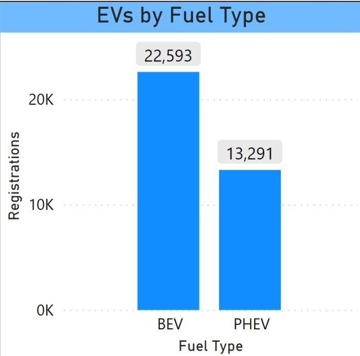EVs by Drivetrain/Fuel Type July 2023